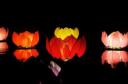 Chinese lotus lantern christmas